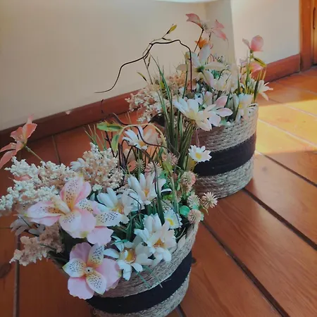 Il Sogno Di Jole Catânia